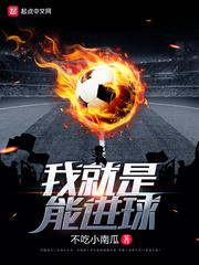 我就是能进球TXT 我就是能进球TXT
