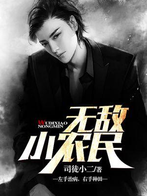 无敌小农民TXT 无敌小农民TXT