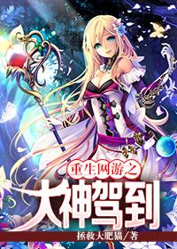 重生网游之大神太怂了免费阅读 重生网游之大神太怂了免费阅读