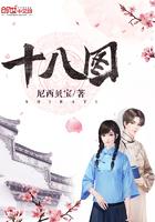 民国之谜图武探尼西贝宝 民国之谜图武探尼西贝宝