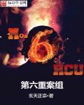 第六重案组第二部
