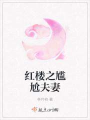 红楼之尴尬夫妻百度百科