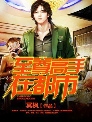 至尊高手在都市叶锋 至尊高手在都市叶锋
