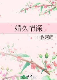 婚久情深全文免费阅读