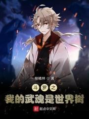 斗罗之我的武魂是魂环红叶书斋 斗罗之我的武魂是魂环红叶书斋