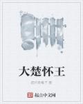 大楚怀王 大楚怀王